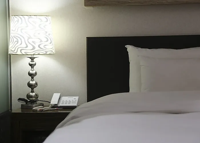 Hotel Imt 3*